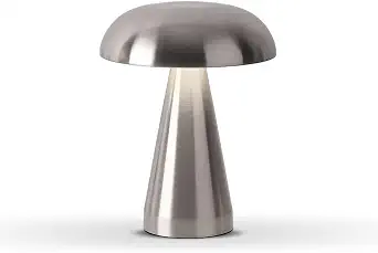 Portable LED Metal Desk Lamp