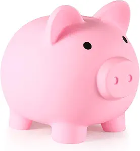 Pink Plastic Piggy Bank