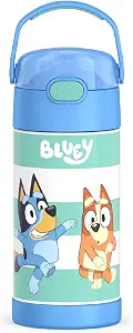 Thermos Funtainer Kids Water Bottle