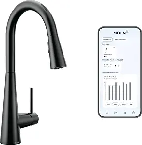 Moen Sleek Matte Black Smart Faucet