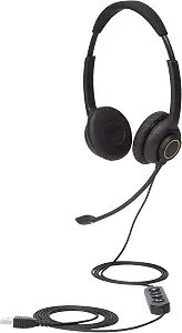 AmazonCommercial Double-Sided USB Headset