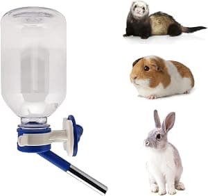 Choco Nose No-Drip Water Bottle