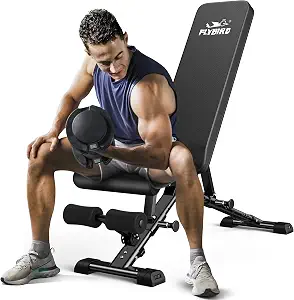 FLYBIRD Adjustable Folding Weight Bench