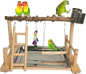Hamiledyi Parrot Playstand Gym with Toys