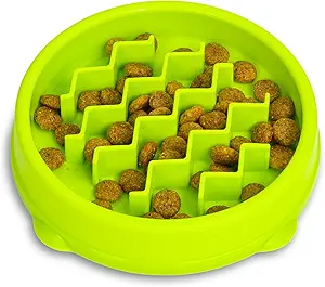 Catstages Kitty Slow Feeder Bowl