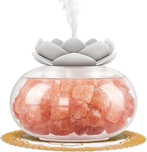 Vyaime Himalayan Salt Lamp Diffuser