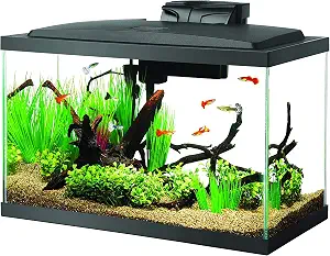 Aqueon 10 Gallon Aquarium Starter Kit