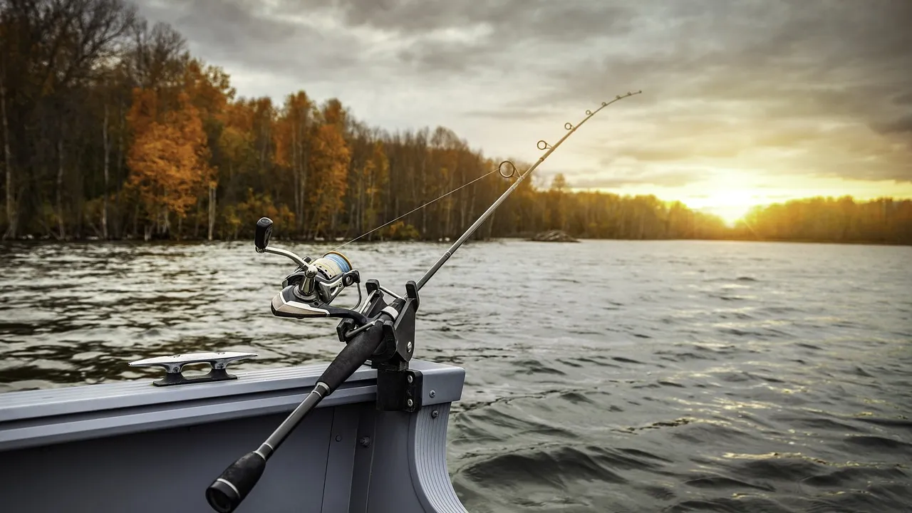 Essential Fishing Gear Gifts for the Avid Angler in 2026