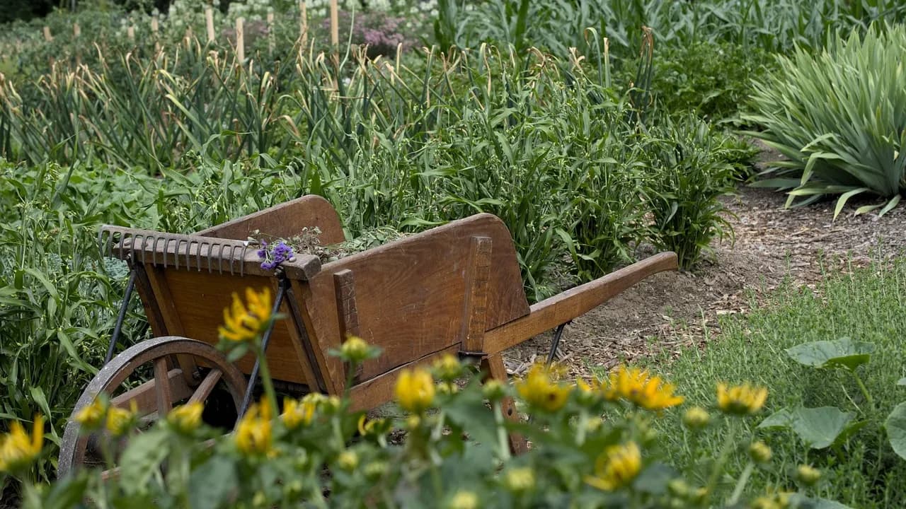 Solar-Powered and Sustainable Garden Gifts for a Lush Outdoor Oasis in 2025