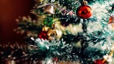 Christmas Gift Guide
