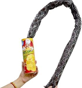 Potato Chip Snake Spring Prank Toy